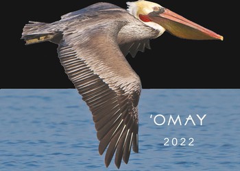 2022 'Omay Pinot Noir
