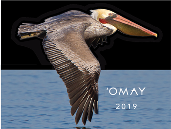 2019 'Omay Pinot Noir