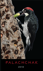 2018 Palachchak Zinfandel